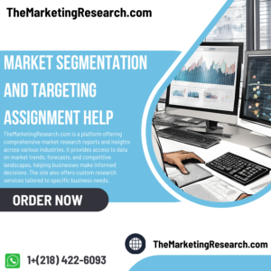 Market Segmentation and Targeting Assignment Help