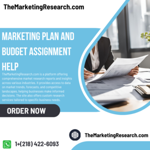 Marketing Plan and Budget Assignment Help