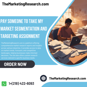 Pay Someone To Take My Market Segmentation and Targeting Assignment