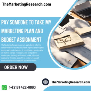 Pay Someone To Take My Marketing Plan and Budget Assignment