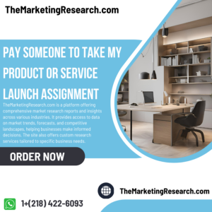 Pay Someone To Take My Product or Service Launch Assignment